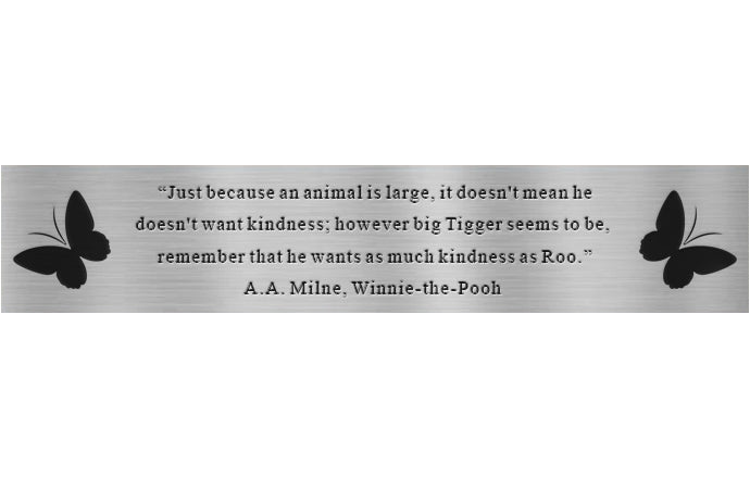 Winnie-the-Pooh quote on stainless steel plaque with butterflies on a white background