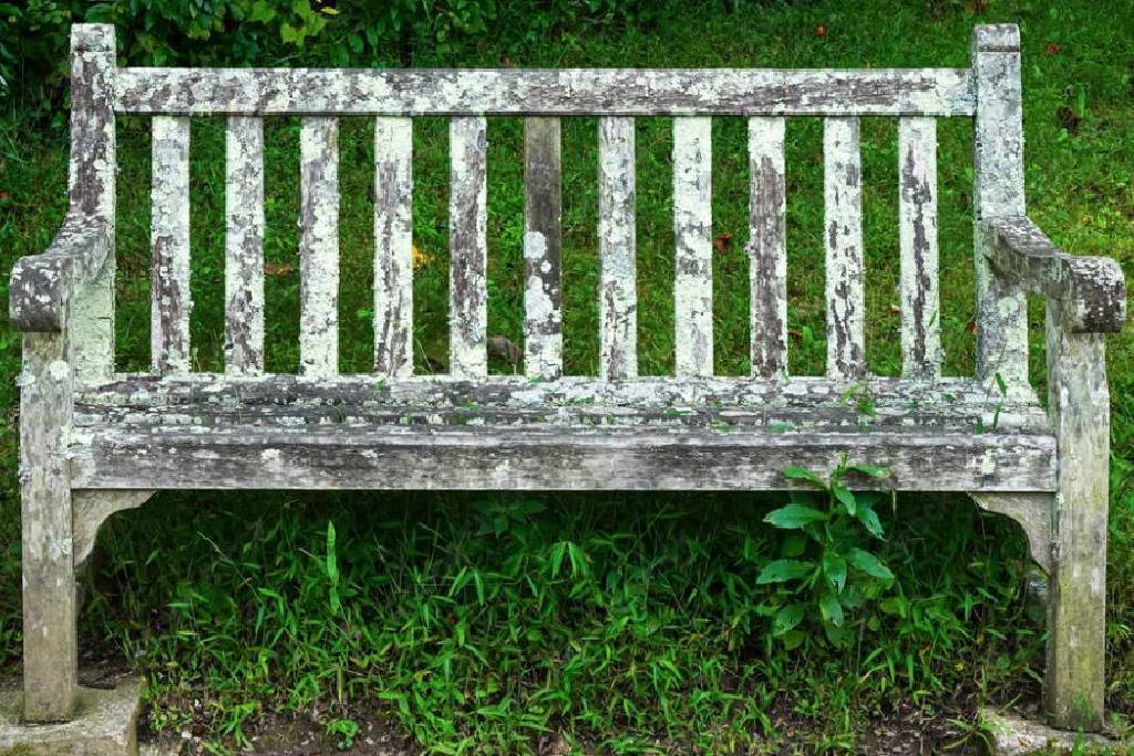 Tackling Lichen on Teak Memorial Benches: A Guide to Restoration