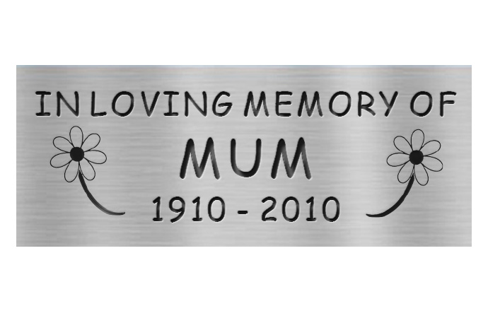 engraved stainless plaque comic with pictures