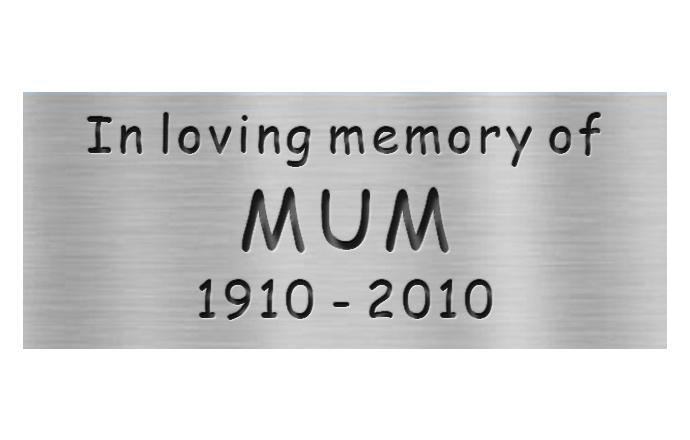engraved stainless plaque comic with words